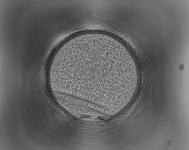 X0000116611311201001081202