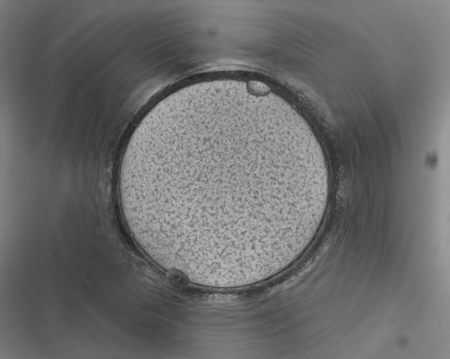 X0000116611313201001081202