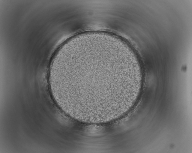 X0000116611314201001081202