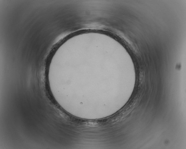 X0000116611315201001081202