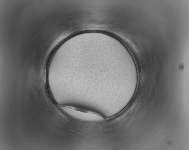 X0000116611317201001081202