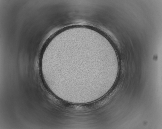 X0000116611318201001081202