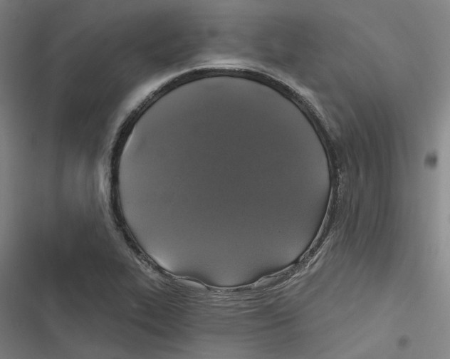 X0000116611319201001081202