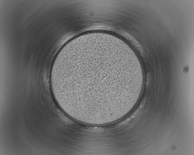 X0000116611321201001081202