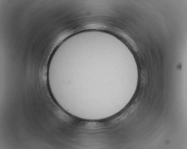 X0000116611322201001081202