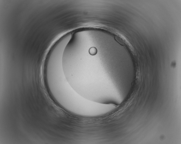 X0000116611323201001081202