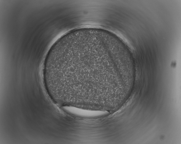 X0000116611325201001081202