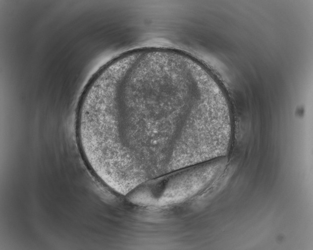 X0000116611326201001081202