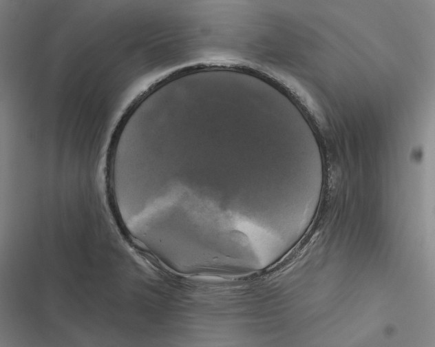 X0000116611327201001081202