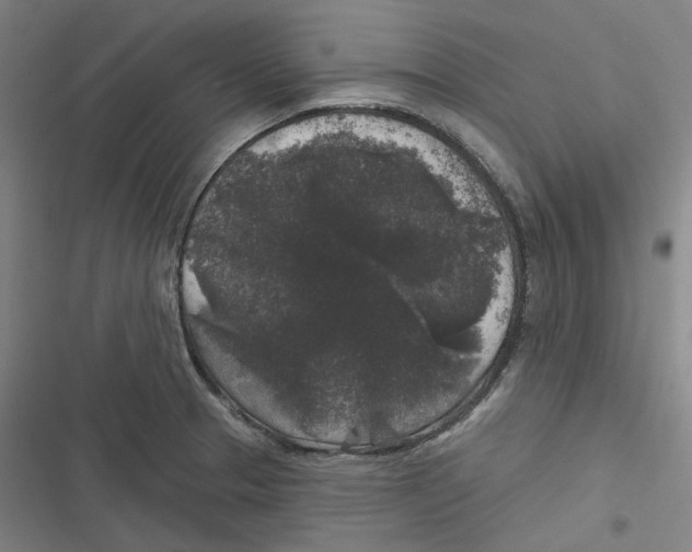 X0000116611329201001081202