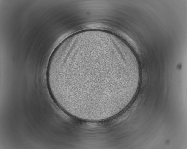 X0000116611330201001081203