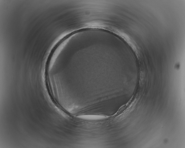 X0000116611331201001081203