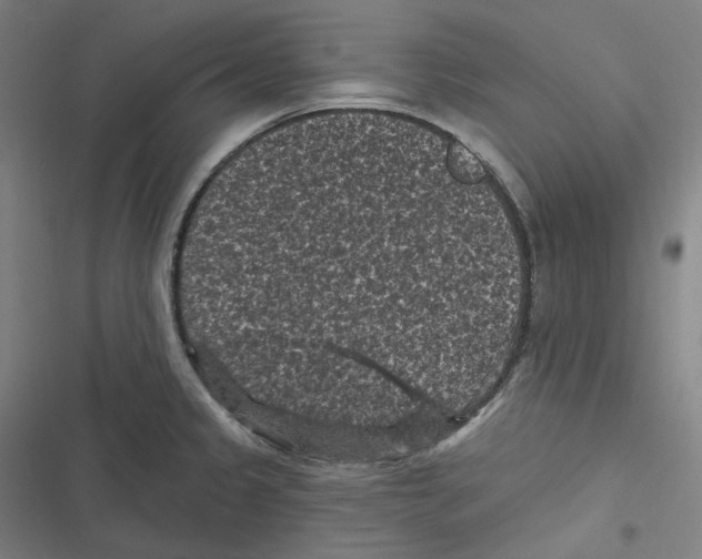 X0000116611333201001081203