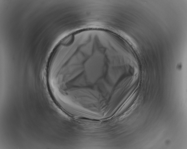 X0000116611334201001081203