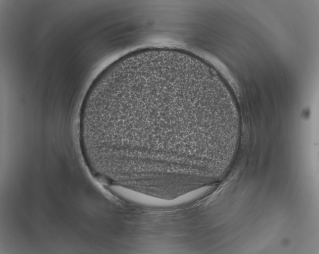 X0000116611335201001081203