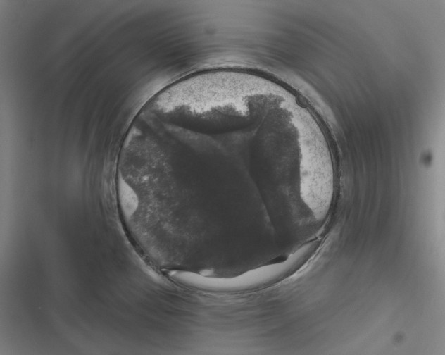 X0000116611337201001081203