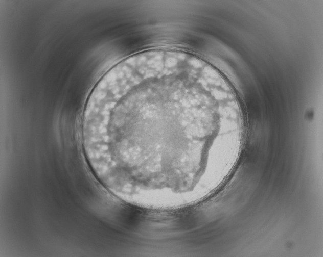 X0000116611338201001081203