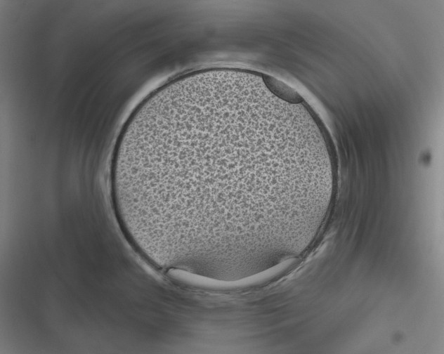 X0000116611341201001081203