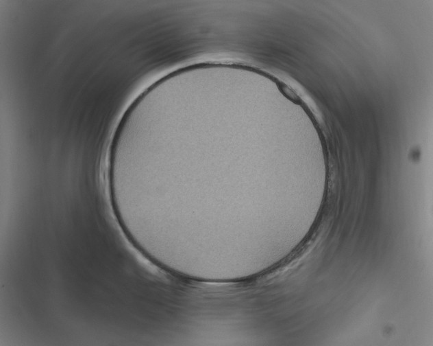 X0000116611343201001081203