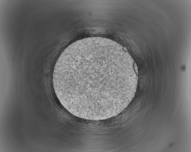 X0000116611345201001081202