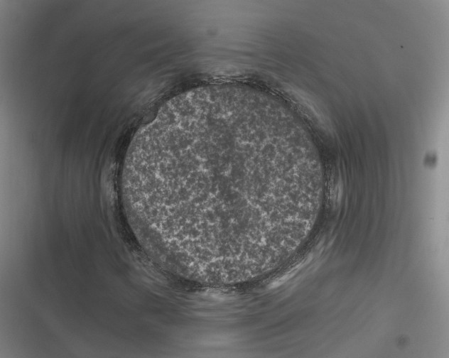 X0000116611346201001081202