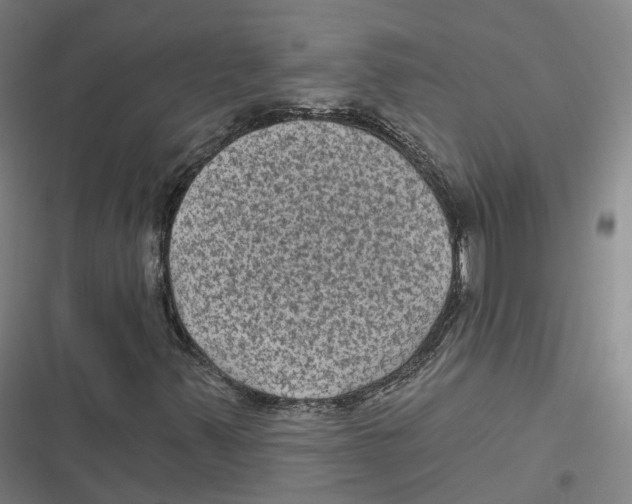 X0000116611347201001081202