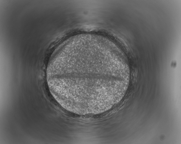 X0000116611349201001081202