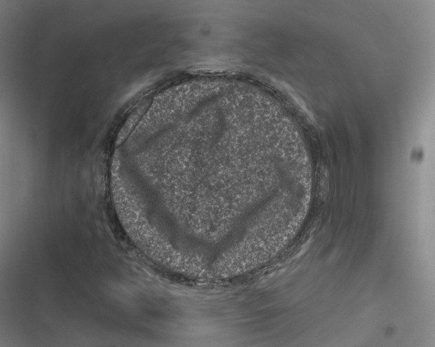 X0000116611350201001081202