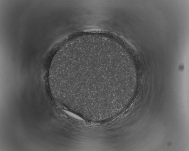 X0000116611351201001081202