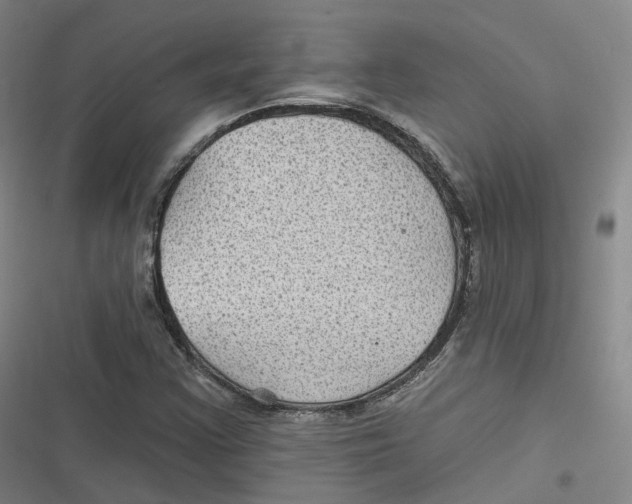 X0000116611355201001081202