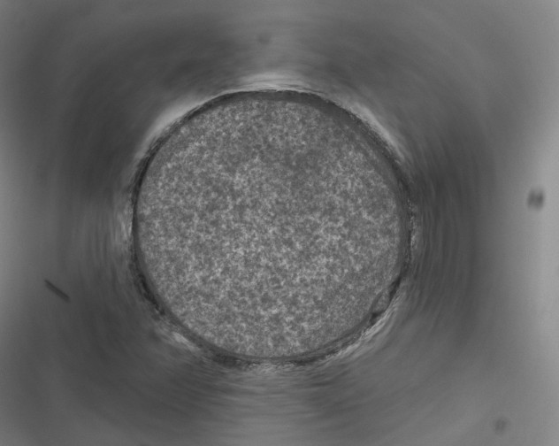 X0000116611358201001081202