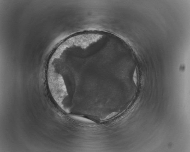 X0000116611359201001081202