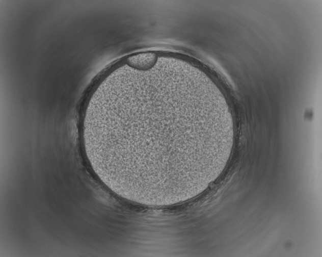 X0000116611360201001081202