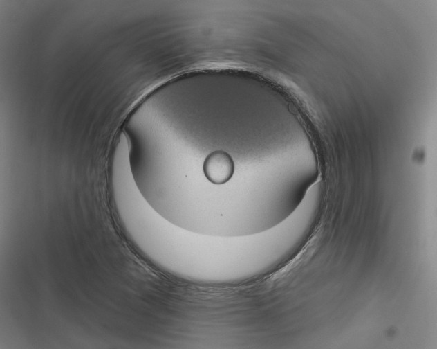 X0000116611361201001081202