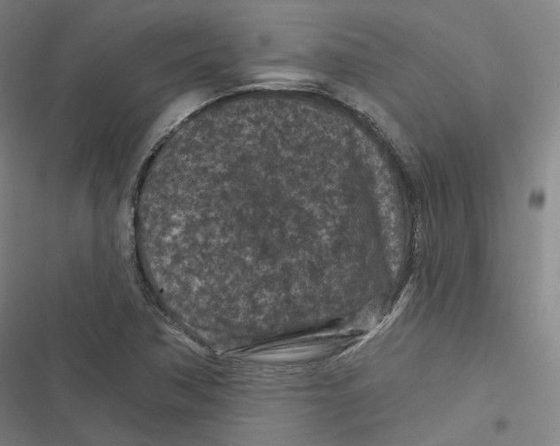 X0000116611362201001081202