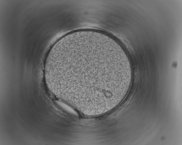 X0000116611363201001081202