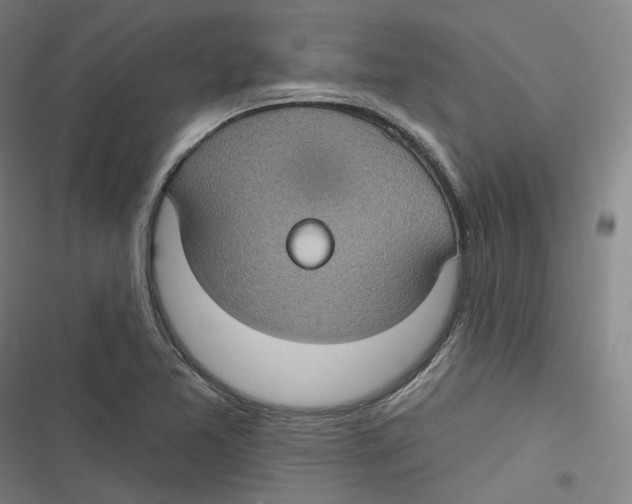 X0000116611365201001081202