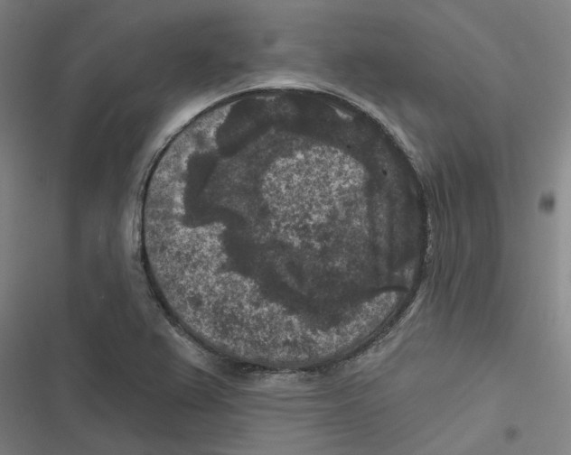 X0000116611367201001081202