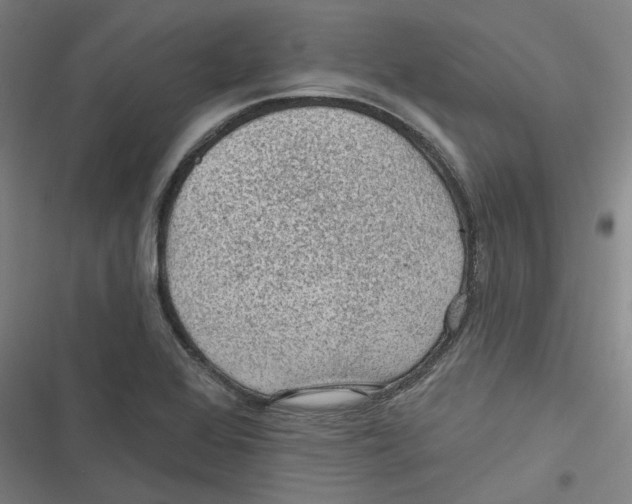 X0000116611368201001081202