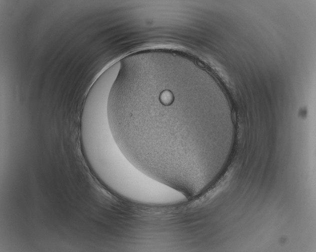 X0000116611369201001081202