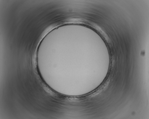 X0000116611370201001081202