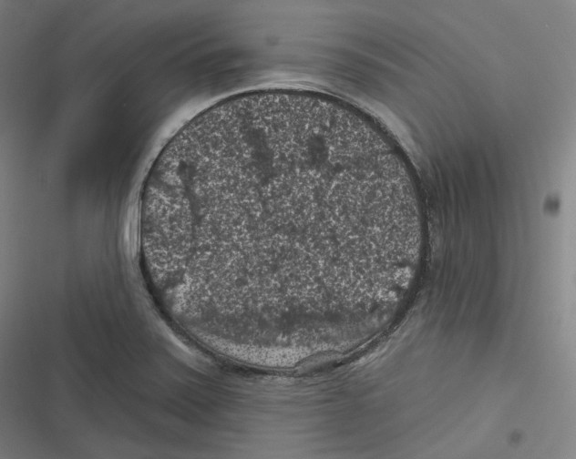 X0000116611371201001081202