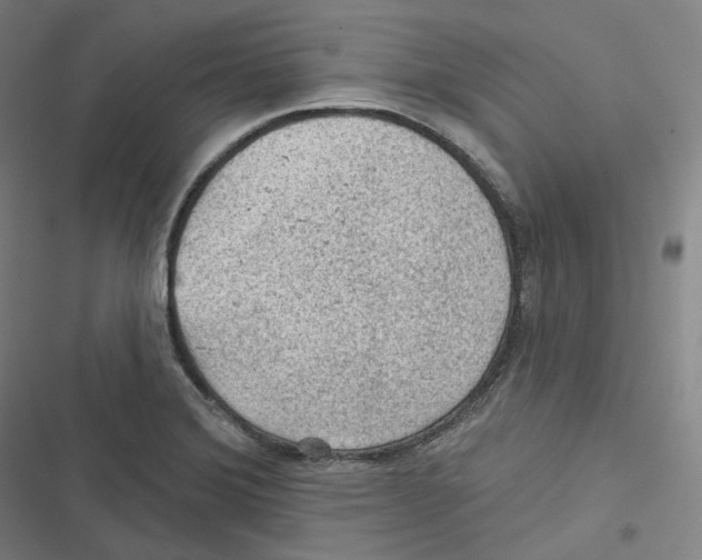 X0000116611372201001081202