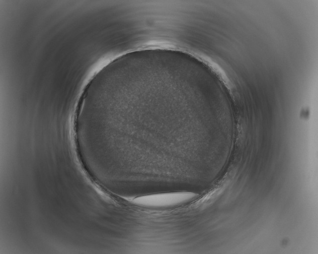 X0000116611373201001081202