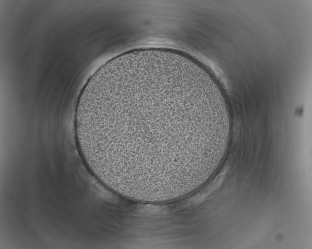 X0000116611374201001081202