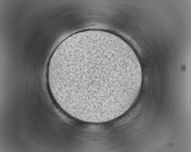 X0000116611375201001081202