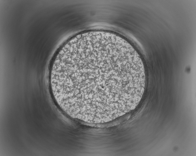 X0000116611376201001081202