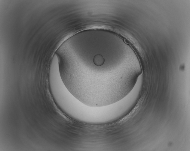 X0000116611377201001081202