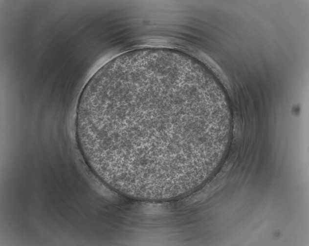 X0000116611378201001081202