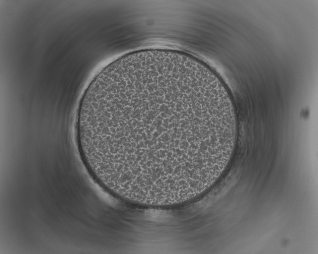 X0000116611379201001081202